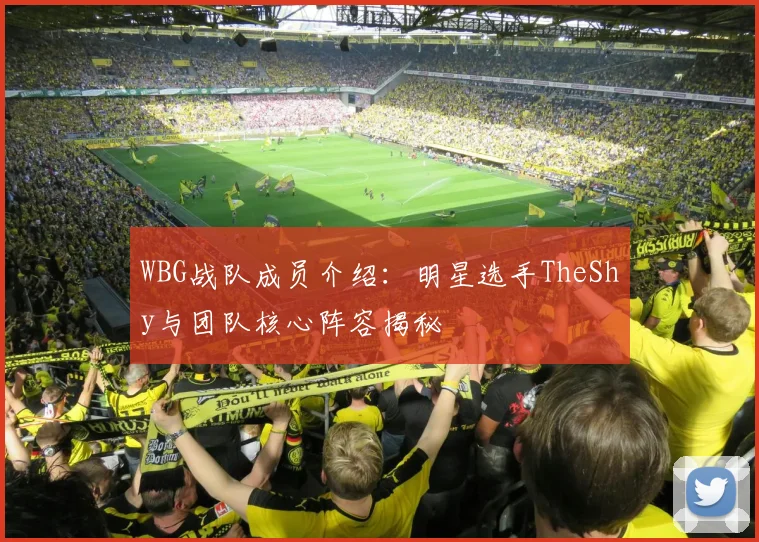 WBG战队成员介绍：明星选手TheShy与团队核心阵容揭秘