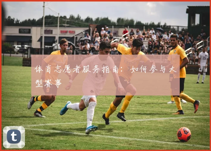 体育志愿者服务指南：如何参与大型赛事